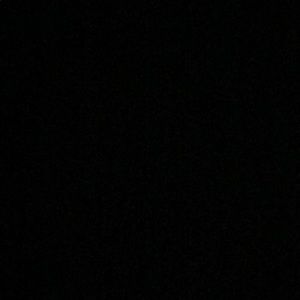 Meet your Posher, Dee